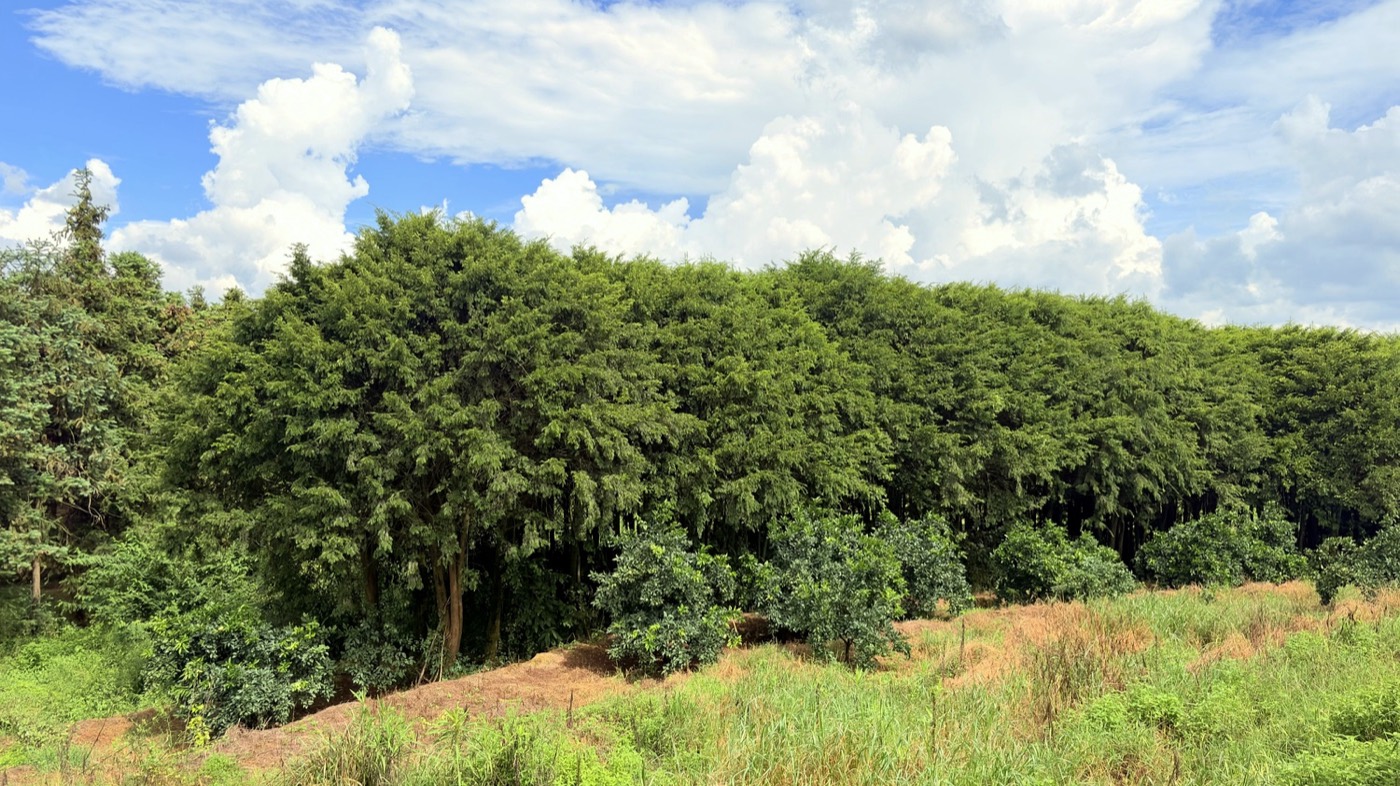 基地航拍全貌(37)